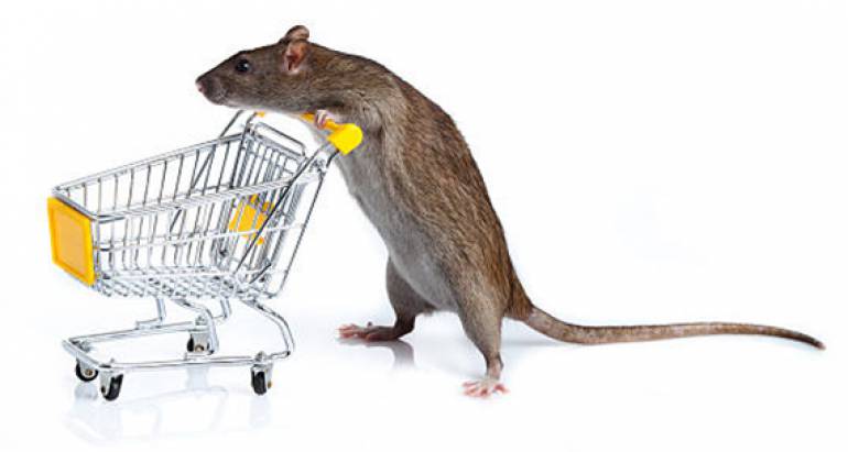 Commercial Rodent Control